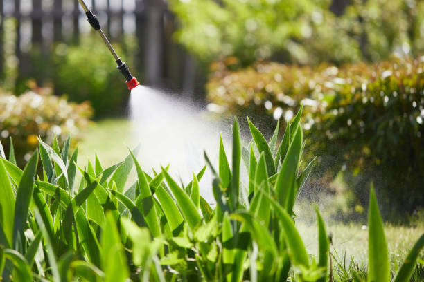 24/7 Emergency Termite Control experts in Buena Park, CA